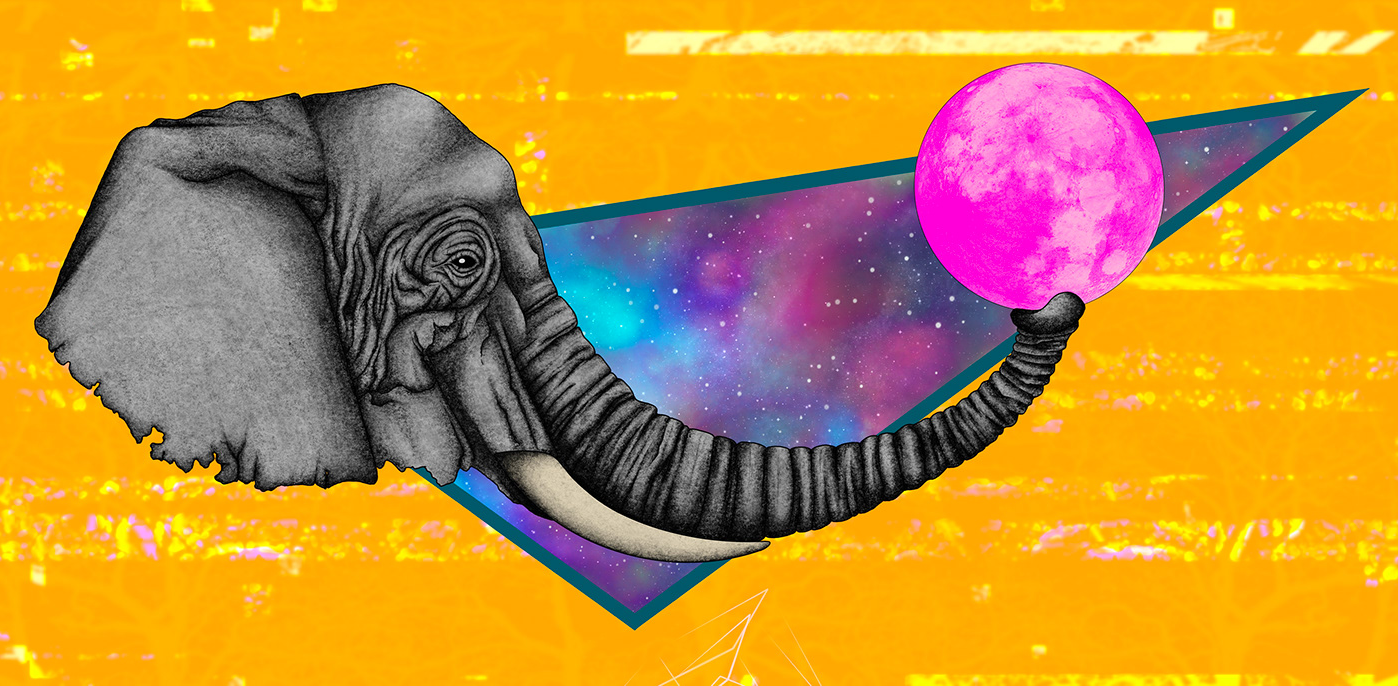 Warum Neos so überzeugt